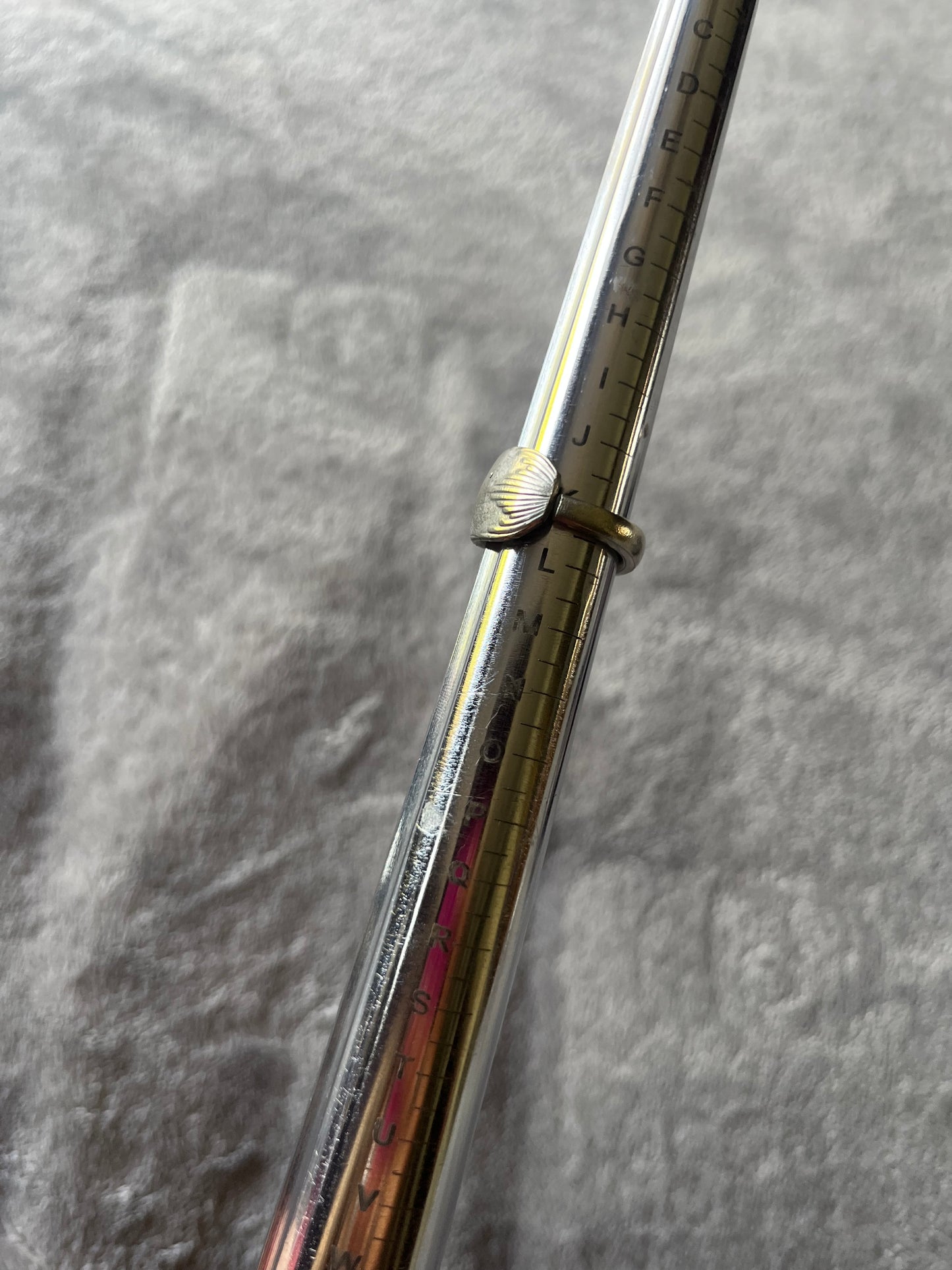 Silver Echo