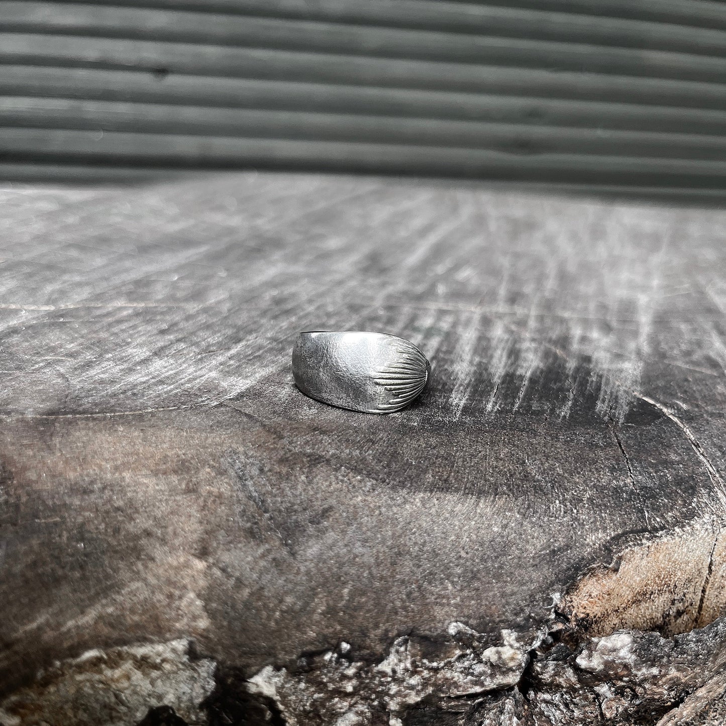 Silver Echo