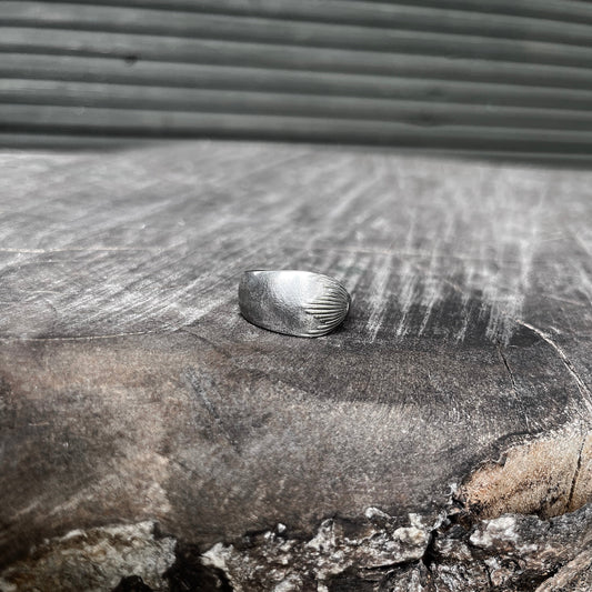 Silver Echo