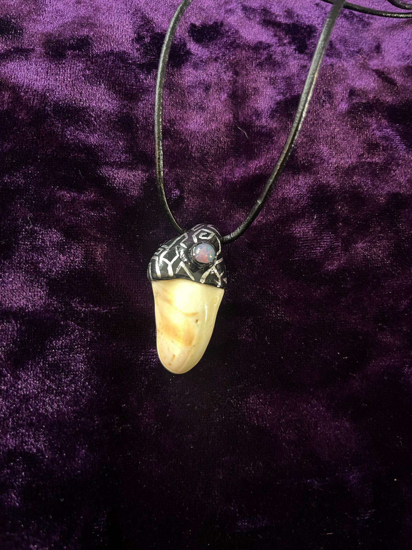 Pattern Black Fairy Tooth