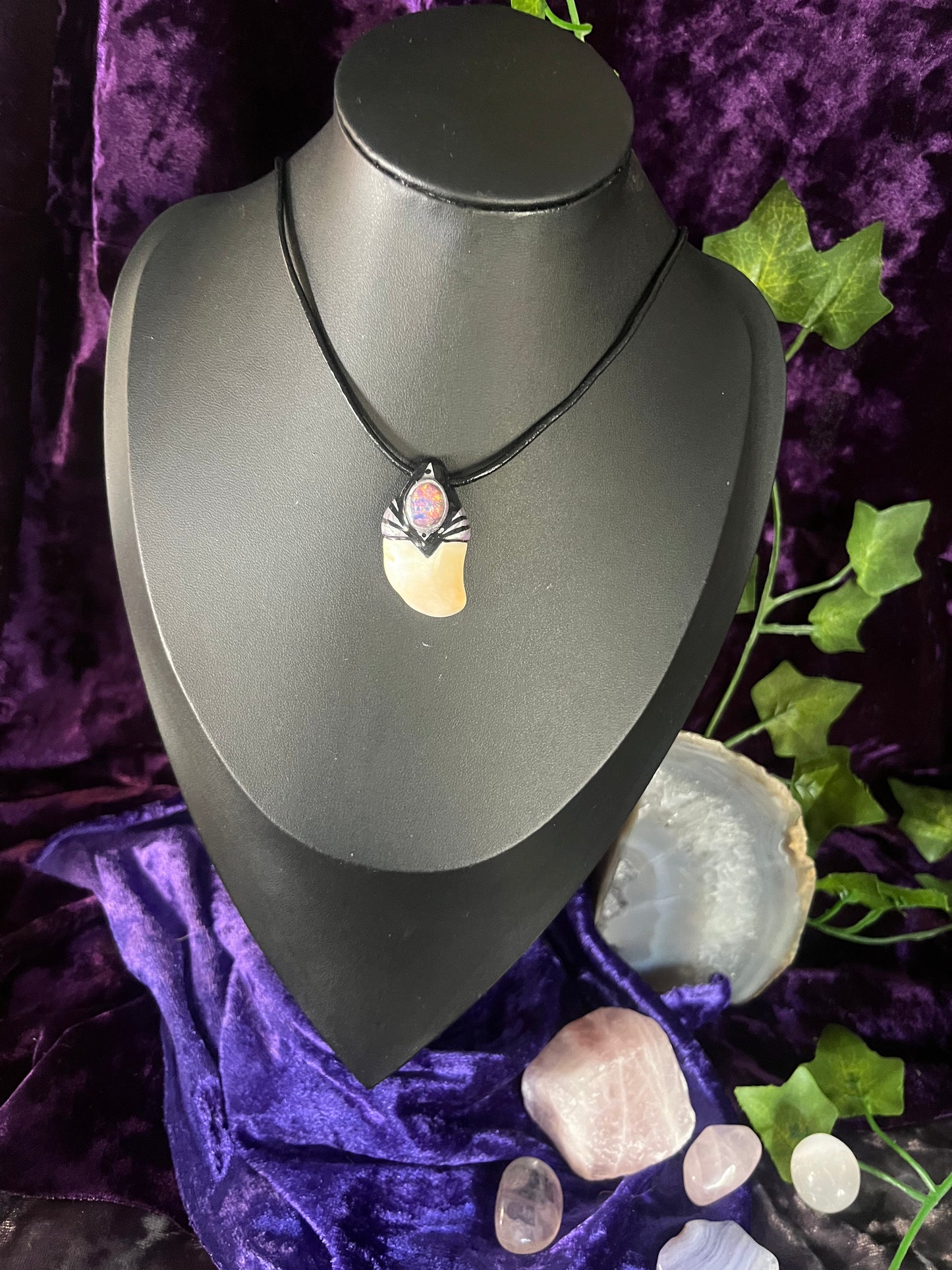 Black Stripe Fairy Tooth