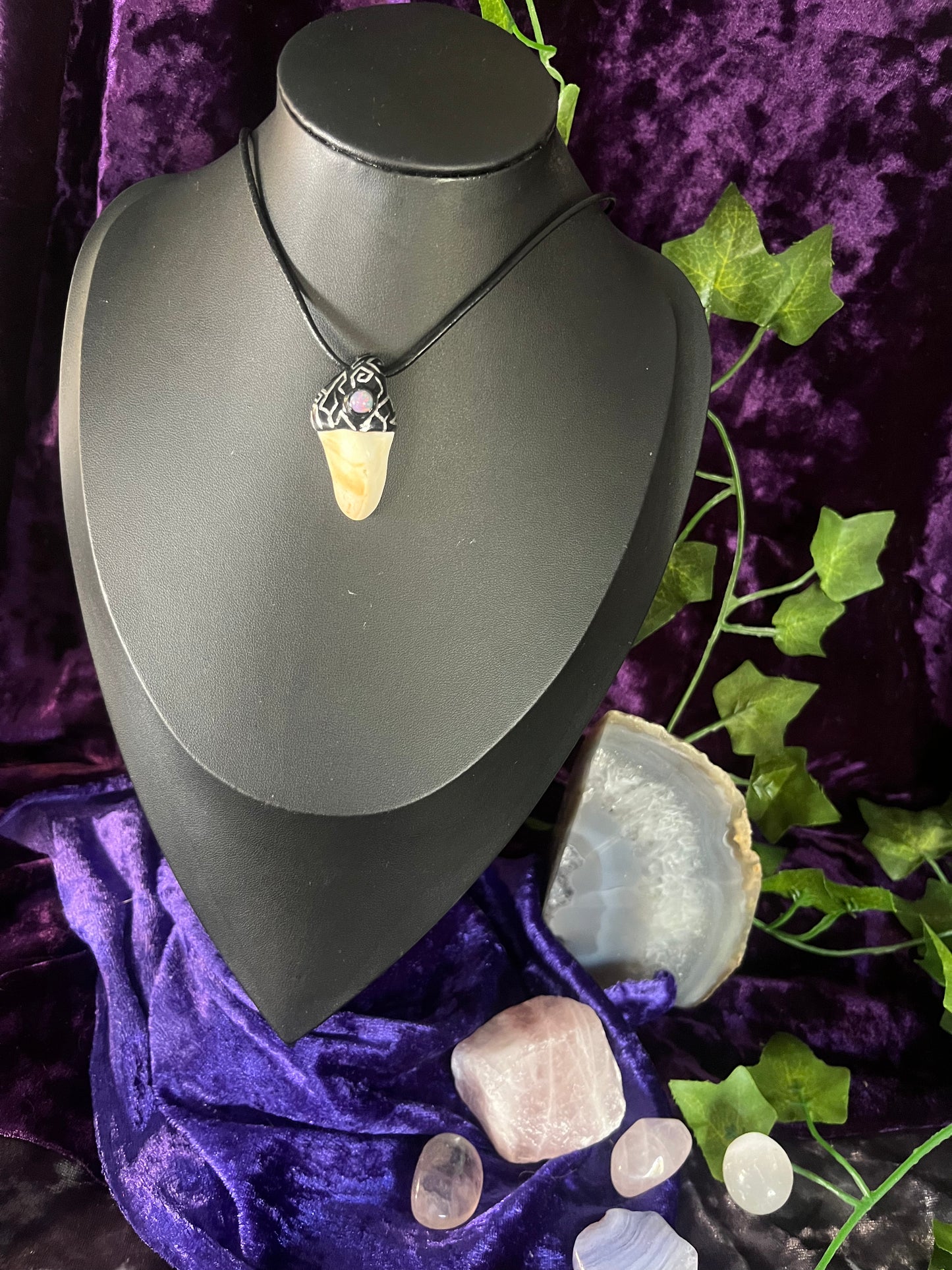 Pattern Black Fairy Tooth