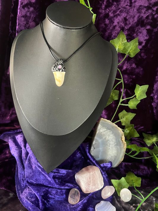 Pattern Black Fairy Tooth