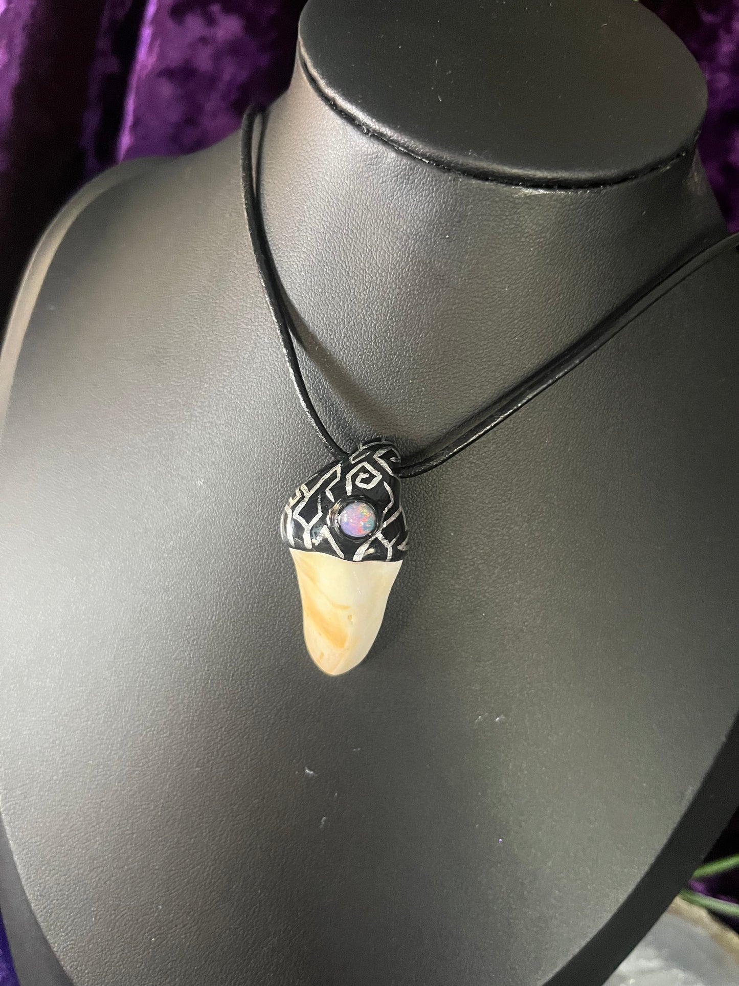 Pattern Black Fairy Tooth